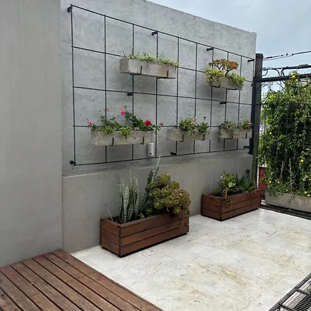 Casa Ficus Apartment San Pedro  Exterior photo