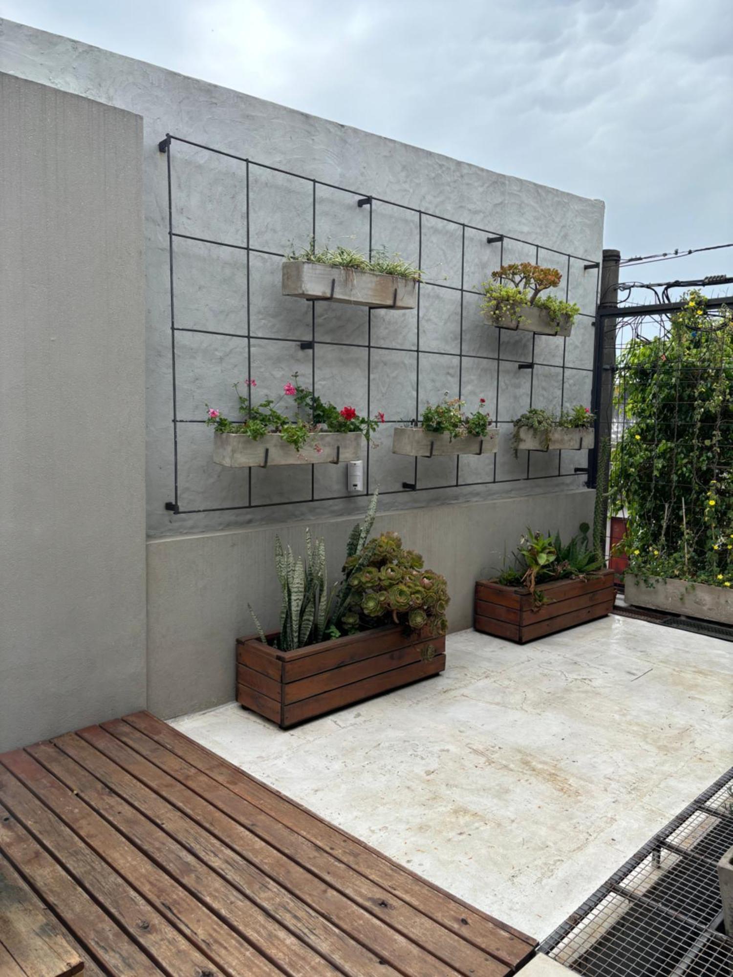Casa Ficus *